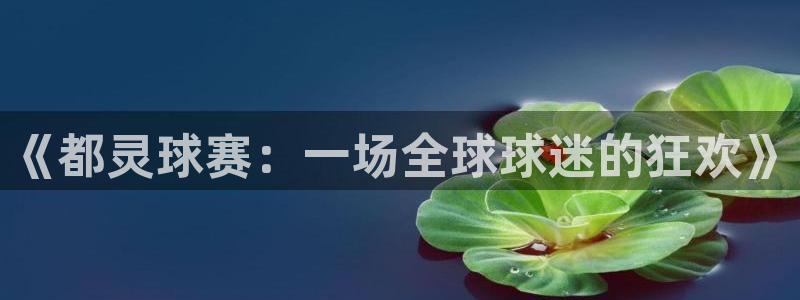 《都灵球赛：一场全球球迷的狂欢》