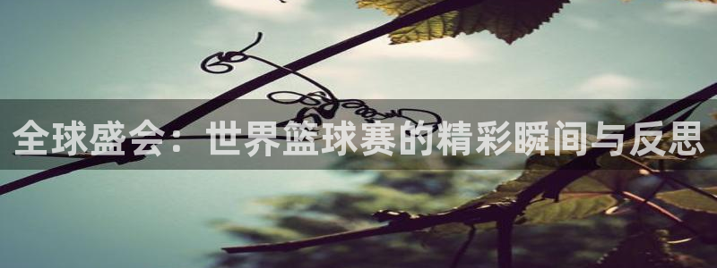  全球盛会：世界篮球赛的精彩瞬间与反思