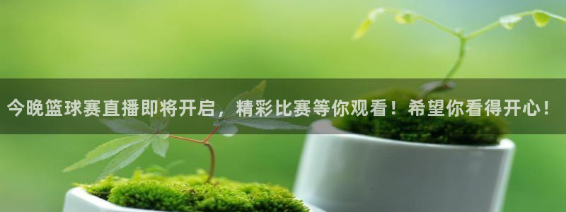 苹果体育应用支持追踪F1：今晚篮球赛直播即将开启，精彩比赛等
