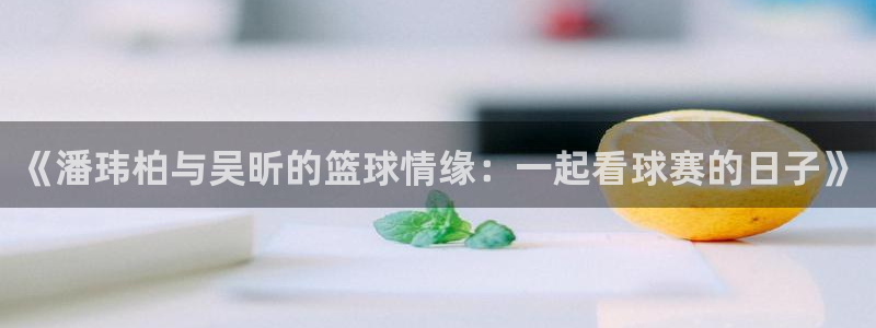 pg游戏网页入口：《潘玮柏与吴昕的篮球情缘：一起看球赛的日子