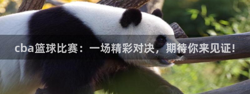  苹果app足球竞猜：cba篮球比赛：一场精彩对决，期待你来见