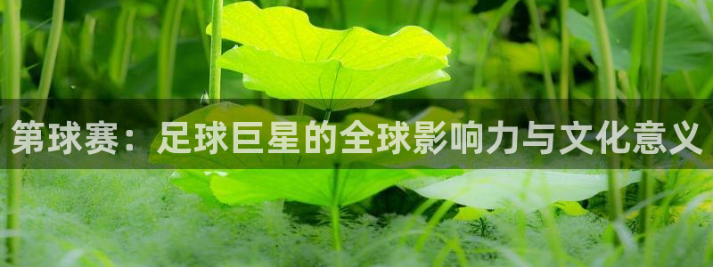 PG体育登录入口：第球赛：足球巨星的全球影响力与文化意义