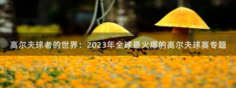  平果体育馆一圈多少公里：高尔夫球者的世界：2023年全球最火