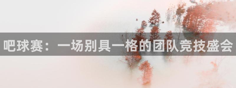  1号pg电子游戏：吧球赛：一场别具一格的团队竞技盛会