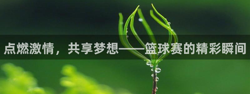  苹果看体育直播用哪个app：点燃激情，共享梦想——篮球赛的精