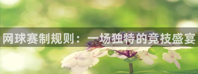  pg体育平台下载入口在线观看：网球赛制规则：一场独特的竞技盛