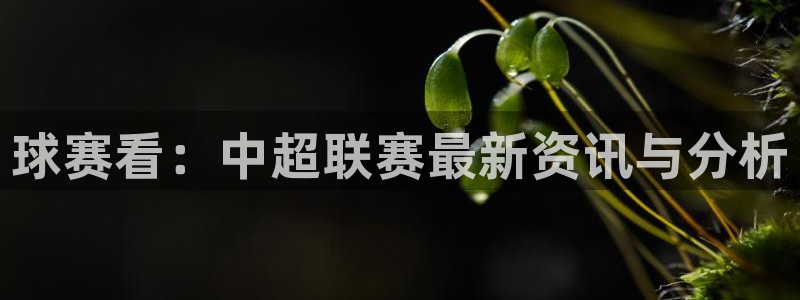  苹果手机体育直播软件哪个好：球赛看：中超联赛最新资讯与分析