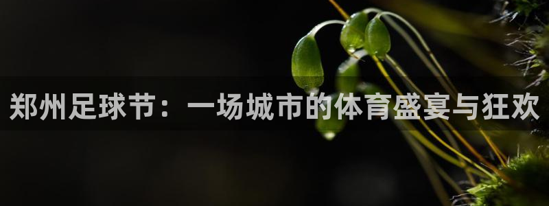  苹果推荐休闲游戏：郑州足球节：一场城市的体育盛宴与狂欢