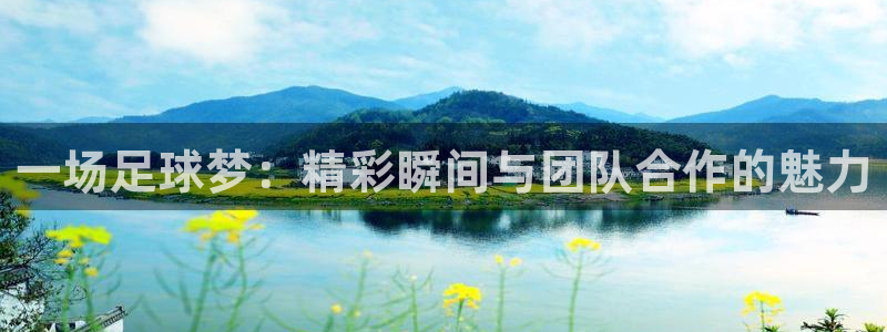  苹果体育直播app排行榜最新：一场足球梦：精彩瞬间与团队合作